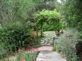 Landscape Design Santa Cruz California Jan Nelson Landscape