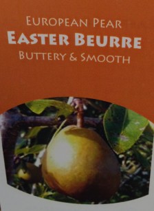 Easter_Buerre_pear