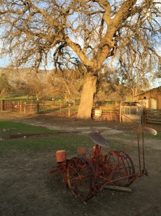 Strohn_Ranch.1600