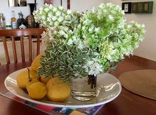 bouquet_hydrangea_pittosporum